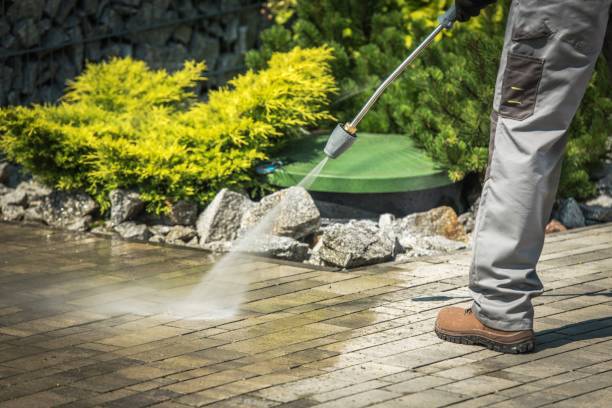 Best Roof Washing  in Aquia Harbour, VA