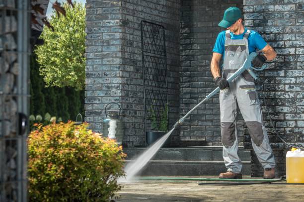 Animal Enclosure Cleaning in Aquia Harbour, VA