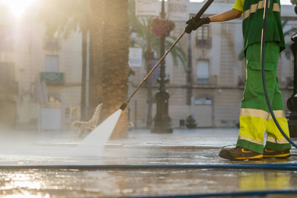 Best Sidewalk and Walkway Cleaning  in Aquia Harbour, VA